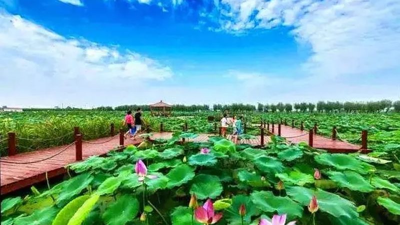 农民专业合作社注册后，税务登记的必知流程