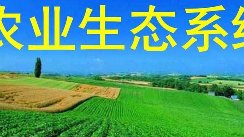 陕西猕猴桃修剪，这样做才能提质增效**