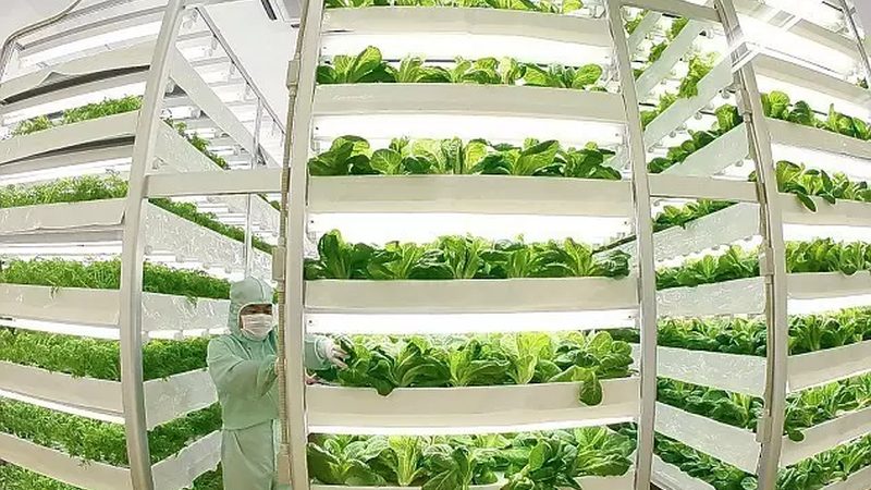 农民专业合作社财务管理标准规范：构建稳健发展的基石**