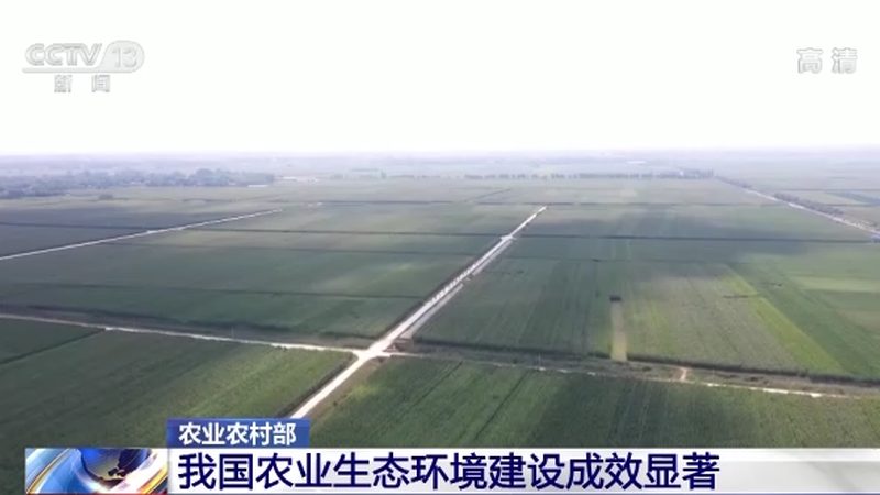 家庭农场设施农业：优与劣的深层解析