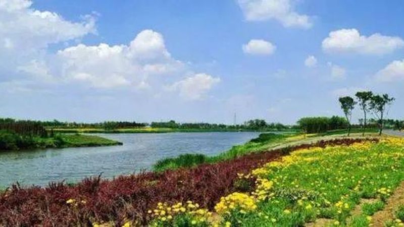 农业产业园如何甄别靠谱品牌：关键要素与误区解析