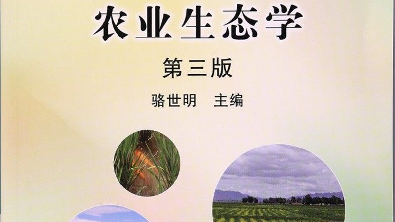 屋顶农业种植防水怎么做：五大要点保障丰收