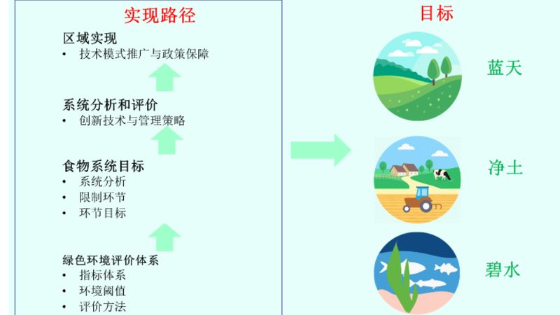 有机蔬菜与普通蔬菜：保存时长大揭秘